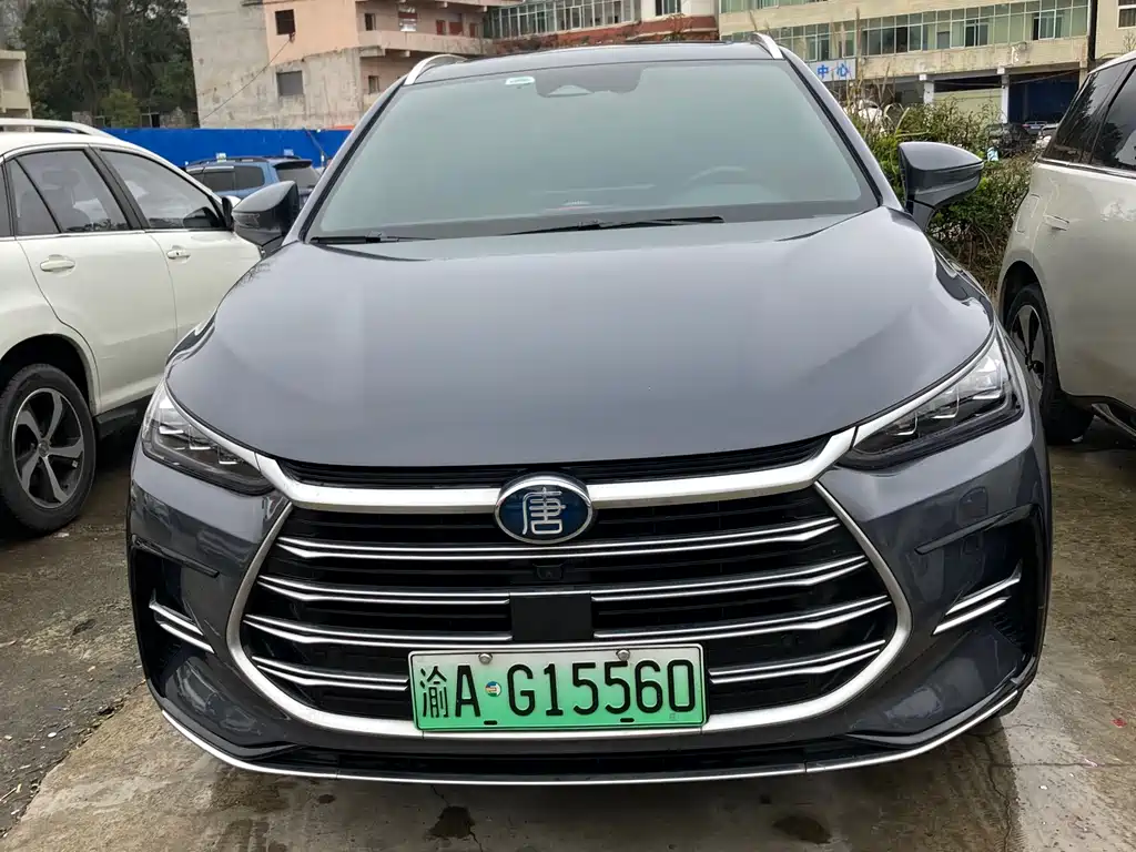BYD Tang New Energy 2022 — фото 1