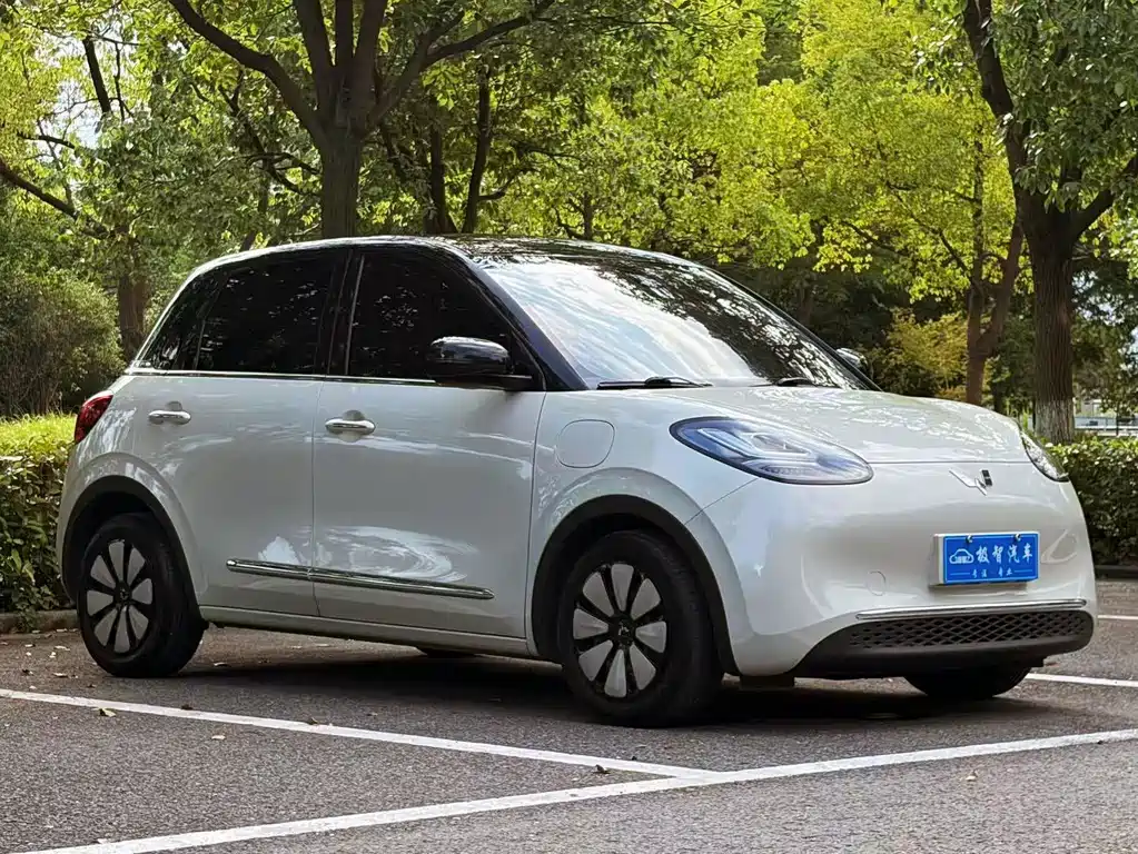 Wuling Bingo 2024