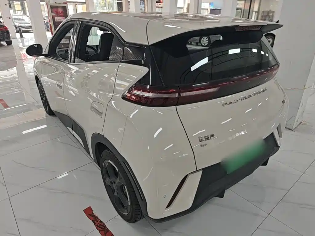 BYD Seagull 2024