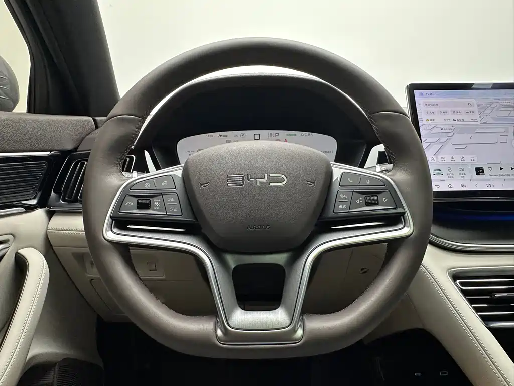 BYD PLUS New Energy 2024 — фото 19