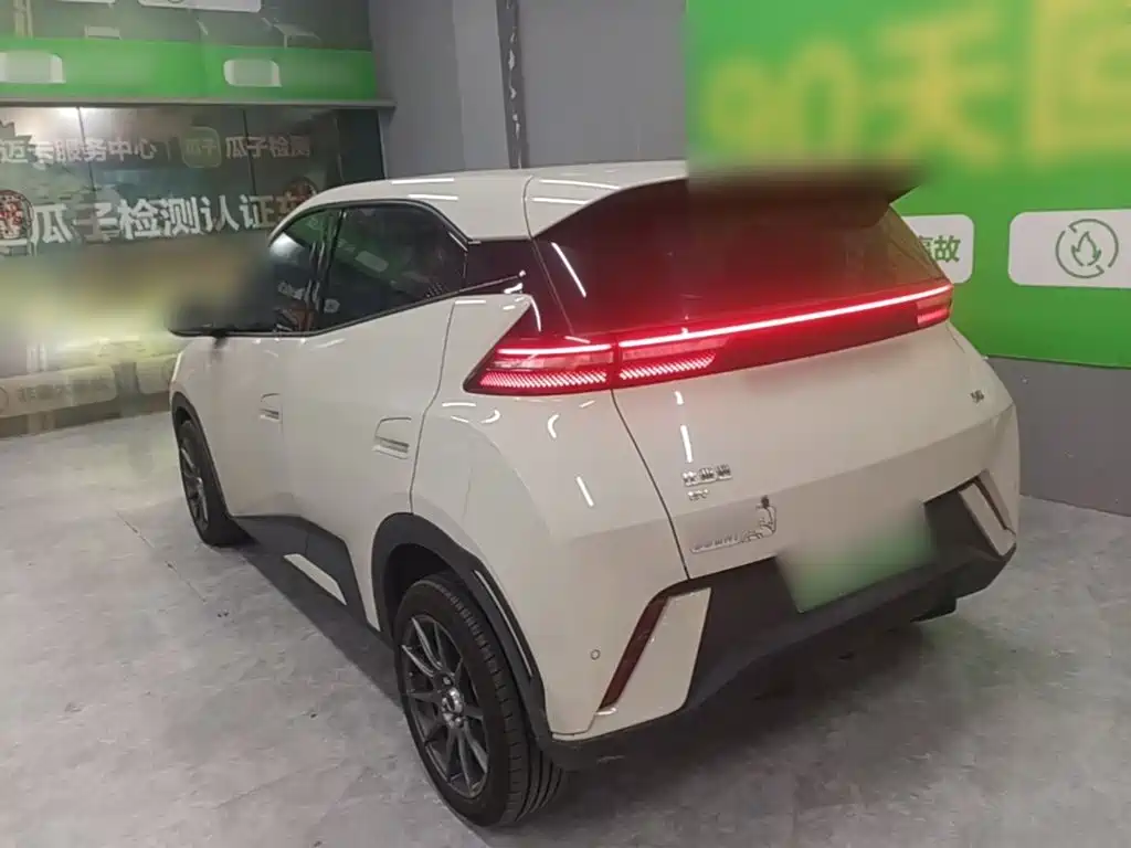 BYD Seagull 2024