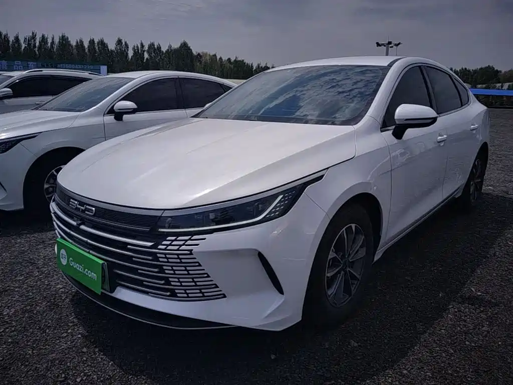 BYD Destroyer 05 2025 — фото 2