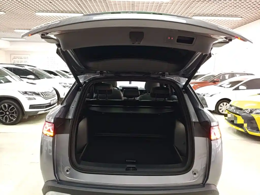 BYD Song L DM-i 2025 — фото 19