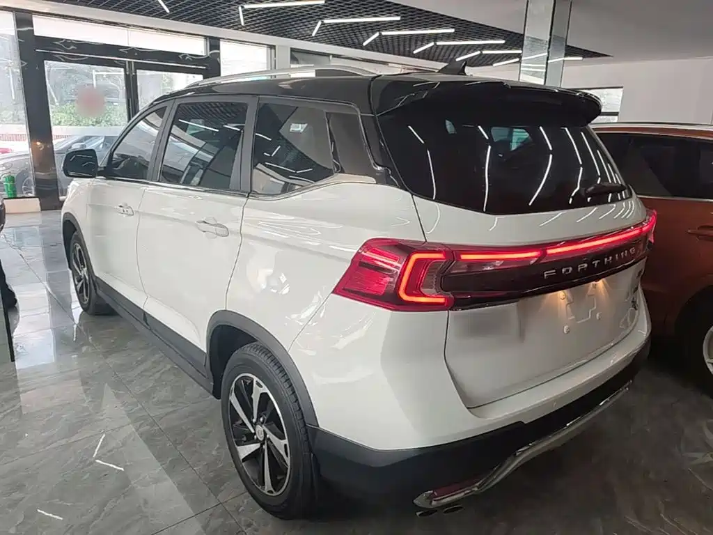 Dongfeng Fengxing T5 2019