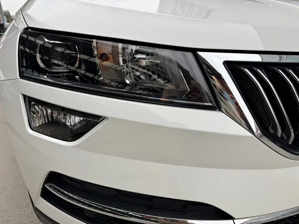 Skoda Karoq 2019 — фото 13