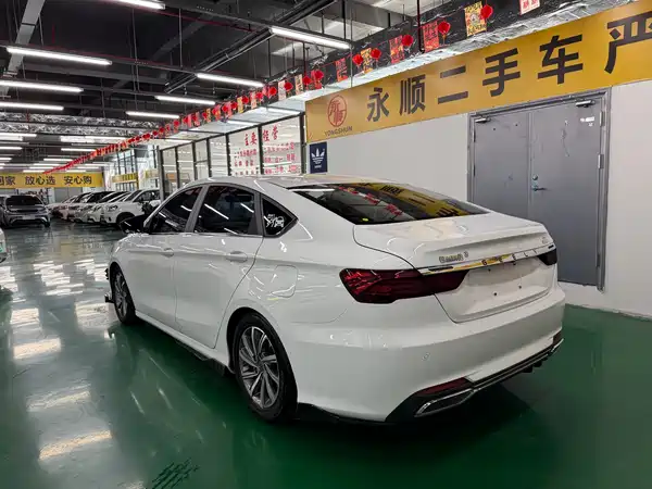 Geely Binrui 2019