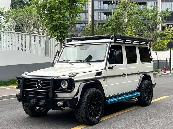 Mercedes-Benz G-Class 2010
