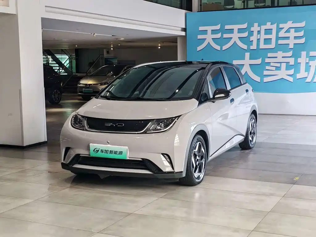 BYD Dolphin 2022