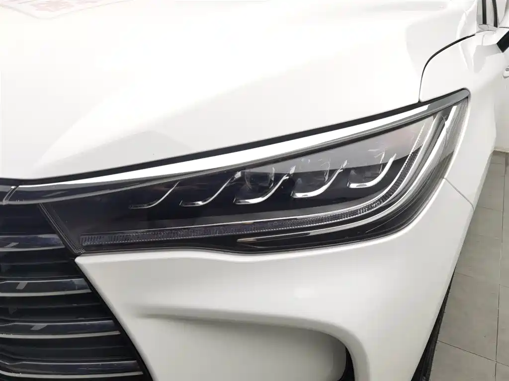 BYD MAX 2019
