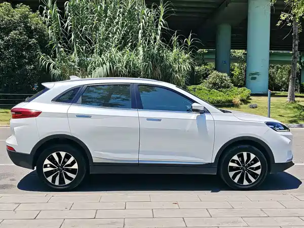 WM Motor EX5 2019