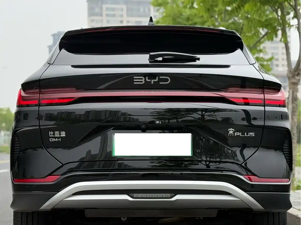 BYD PLUS New Energy 2024 — фото 14