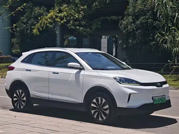 WM Motor EX5 2019