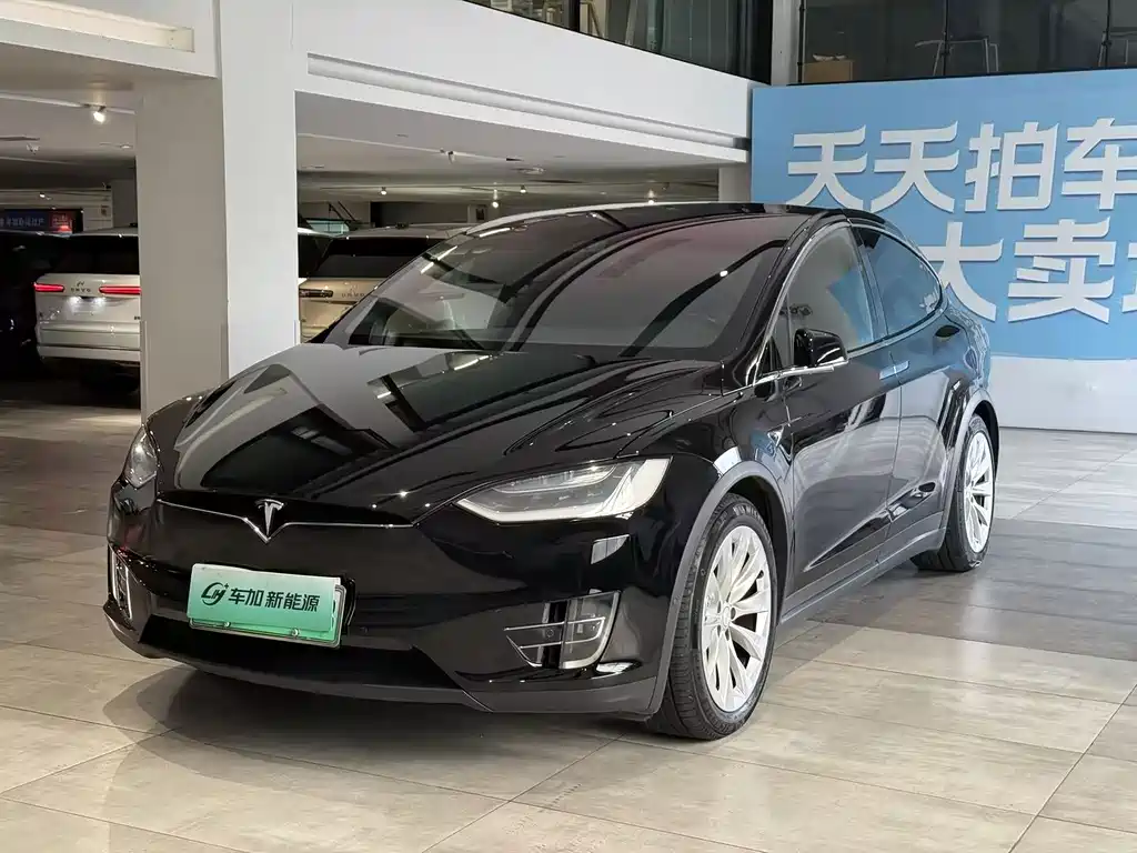 Tesla Model X 2017 — фото 1
