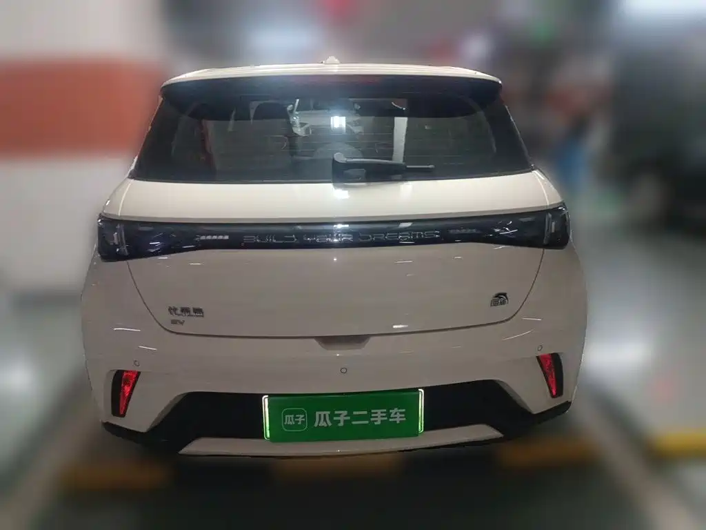 BYD Dolphin 2024