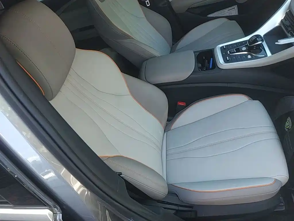 BYD Pro New Energy 2024 — фото 25