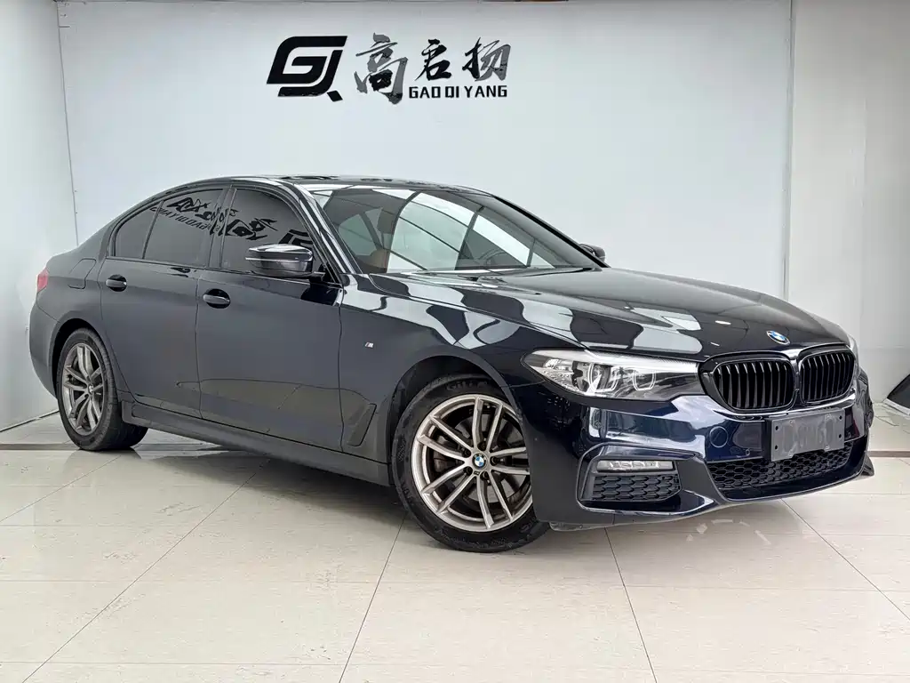 BMW 5 Series 2019