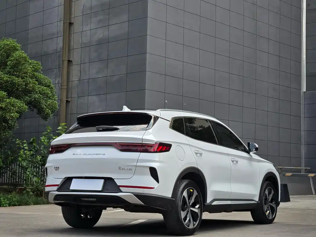 BYD PLUS New Energy 2022 — фото 9