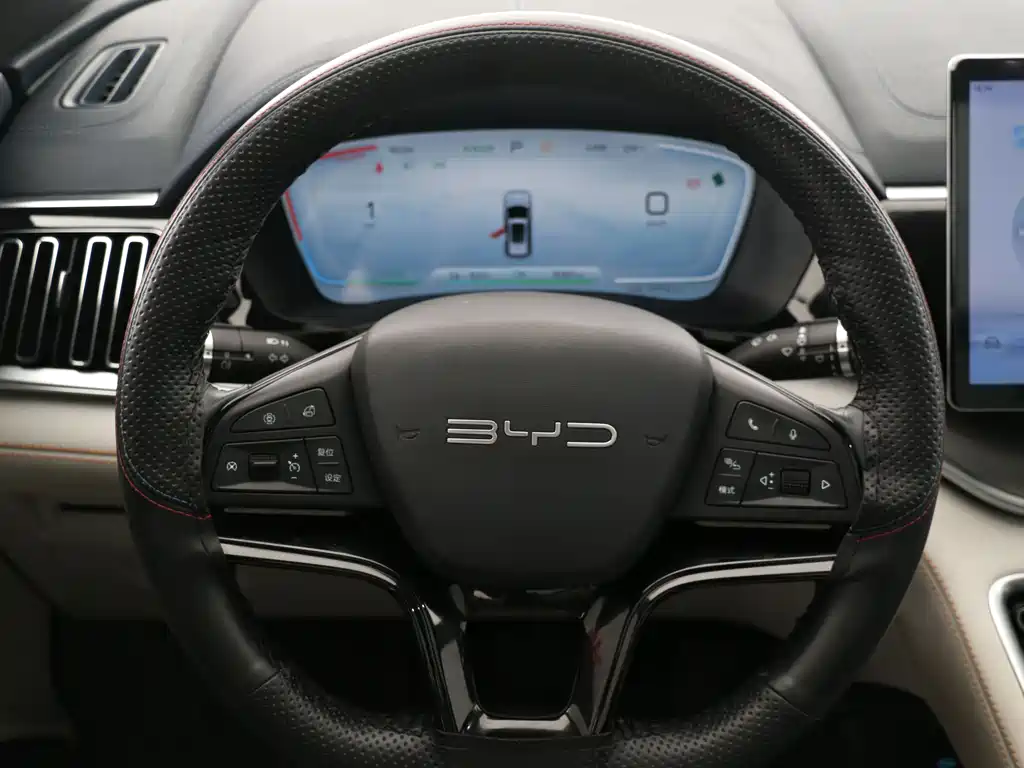 BYD PLUS New Energy 2024 — фото 12