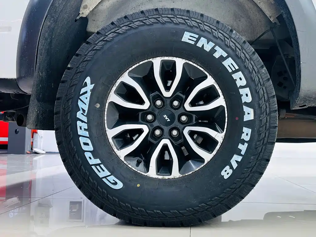 Ford F-150 Raptor 2015 — фото 19