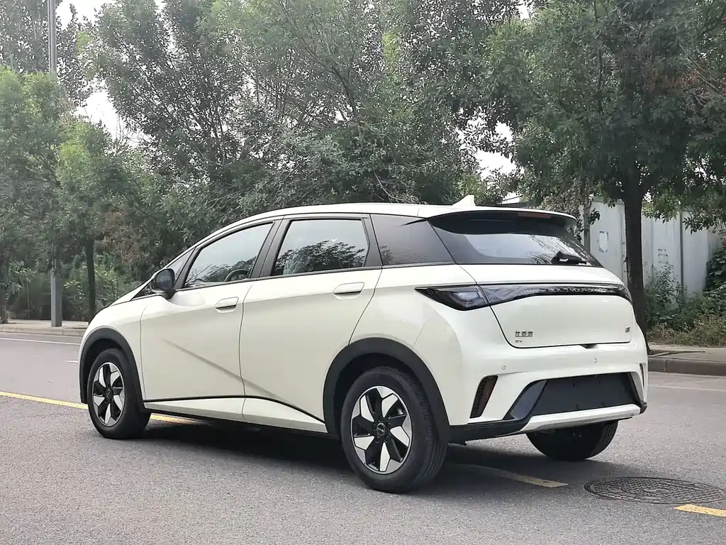 BYD Dolphin 2026