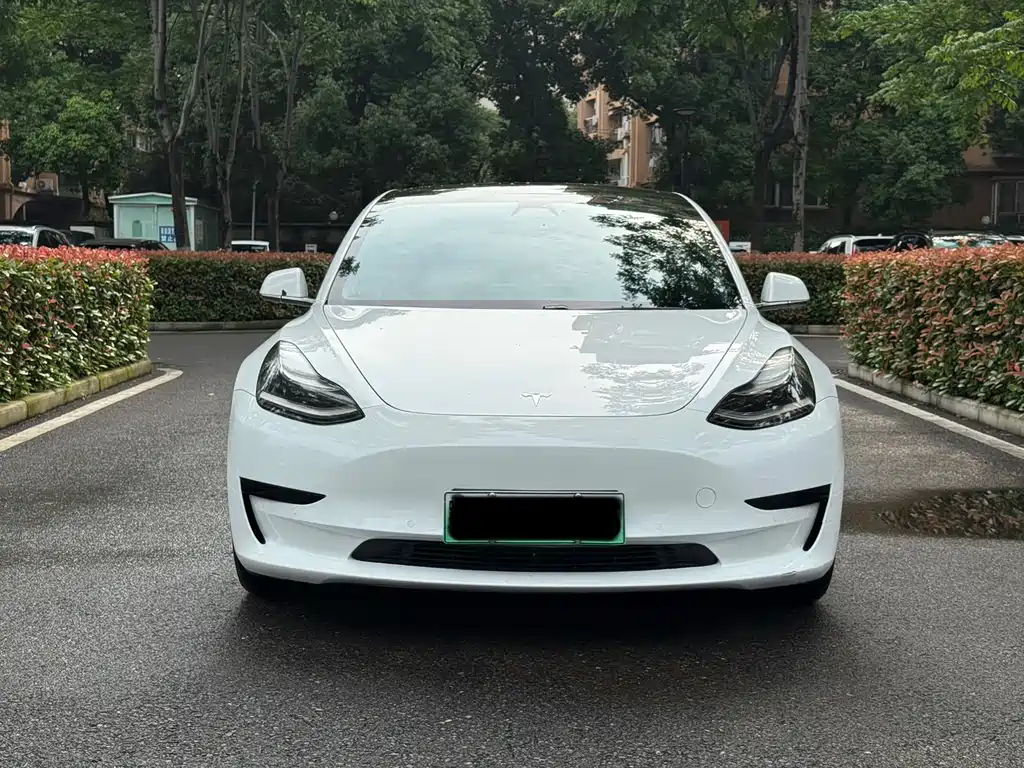 Tesla Model 3 2020 — фото 2