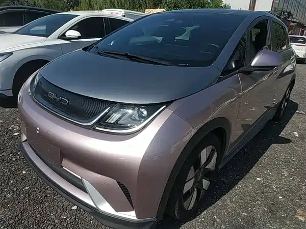 BYD Dolphin 2021