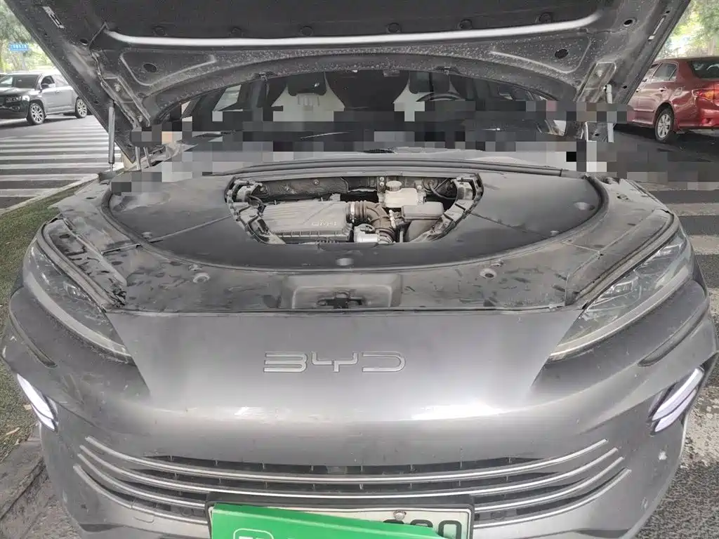 BYD PLUS New Energy 2023 — фото 21