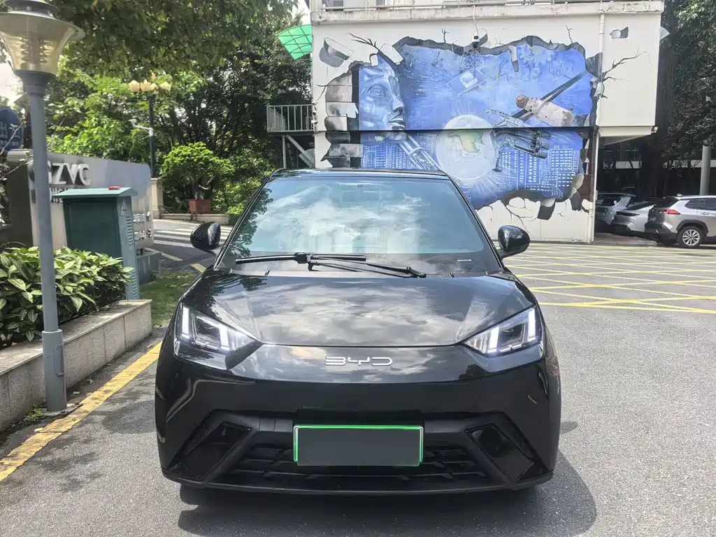 BYD Seagull 2024