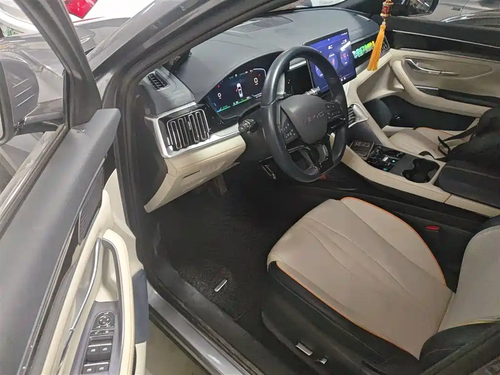 BYD PLUS New Energy 2023 — фото 12