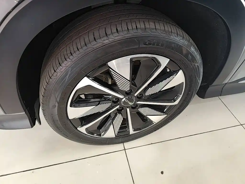 BYD Song PLUS New Energy 2025 — фото 23