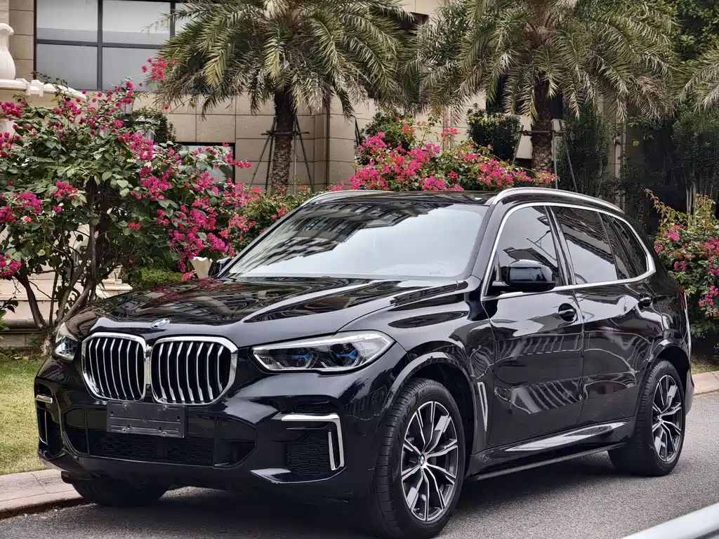 BMW X5 2023 — фото 1