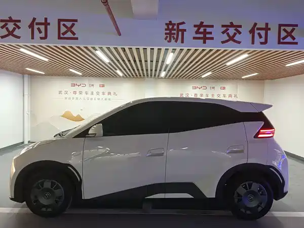 BYD Seagull 2024