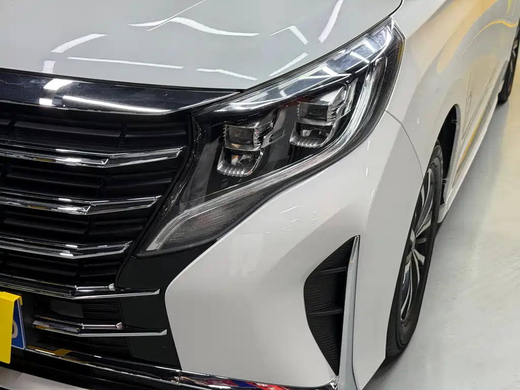 GAC Trumpchi M8 2023 — фото 27