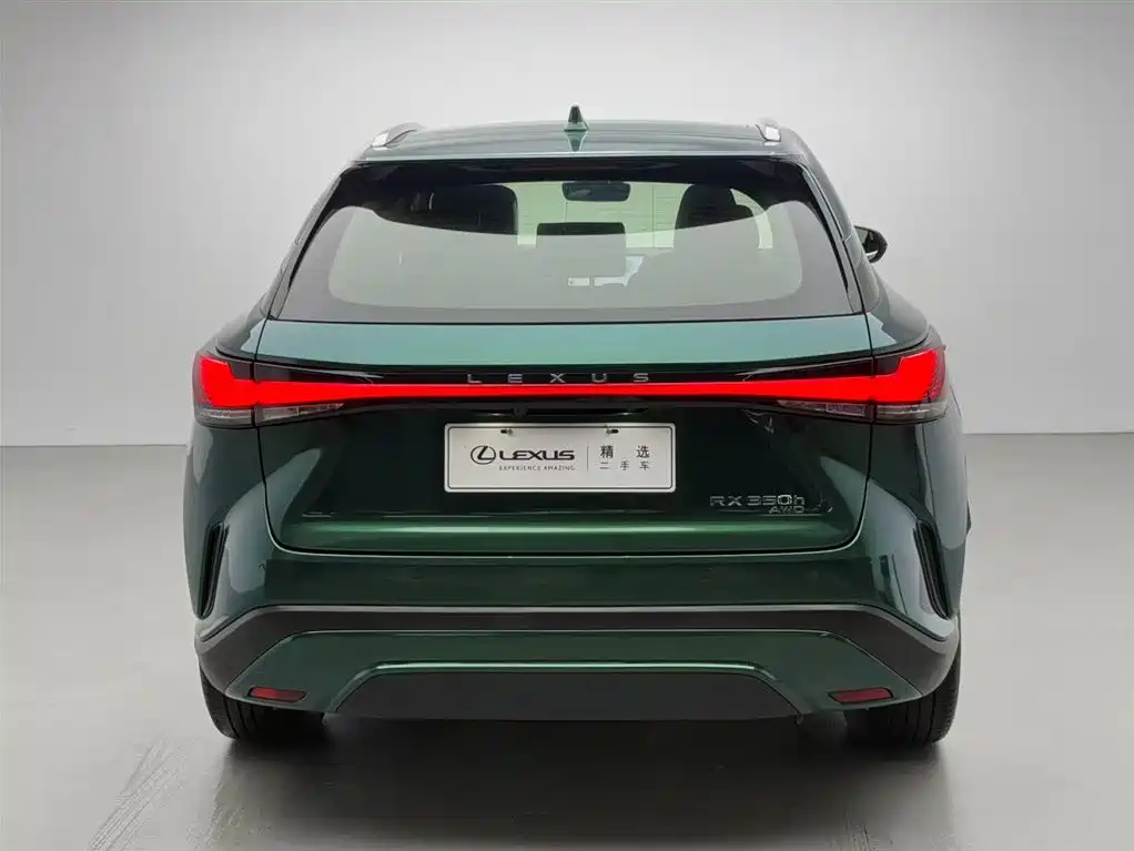 Lexus RX 2023 — фото 19
