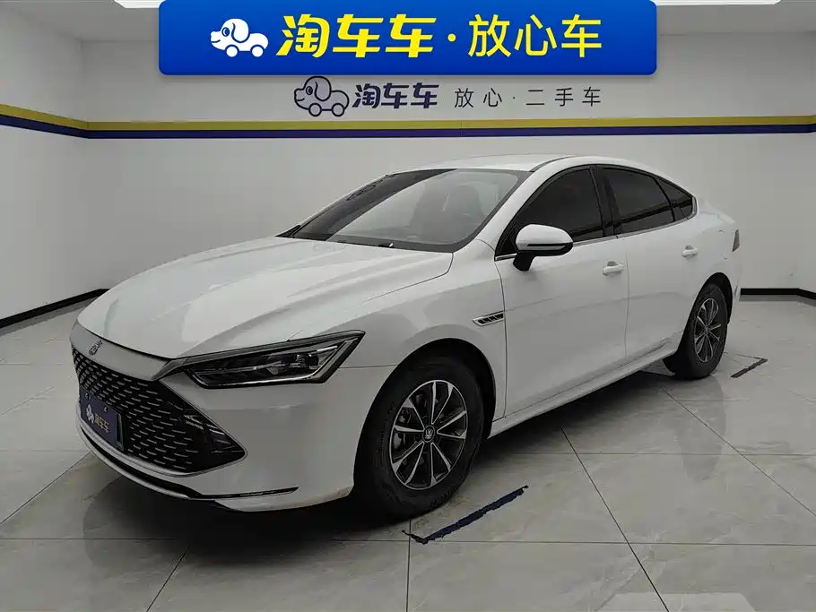 BYD Qin PLUS 2024 — фото 1