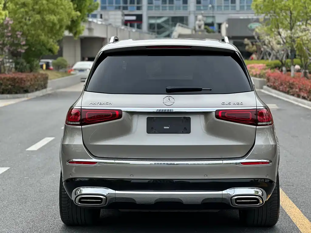 Mercedes-Benz GLS 2022 — фото 5