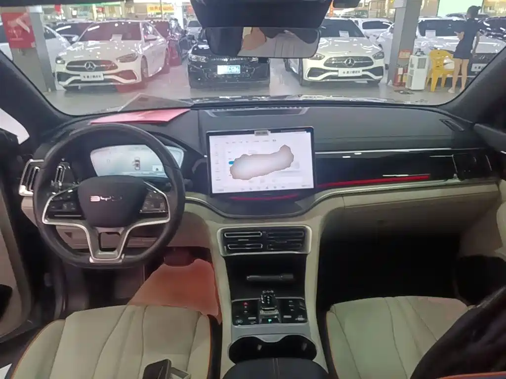 BYD PLUS New Energy 2023 — фото 10