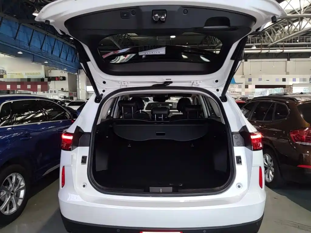 Haval H6 New Energy 2022 — фото 19