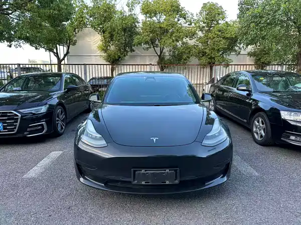 Tesla Model 3 2020