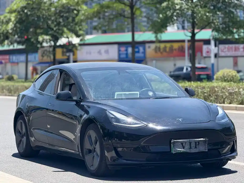 Tesla Model 3 2021 — фото 3