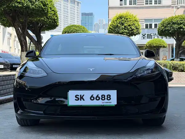 Tesla Model 3 2021