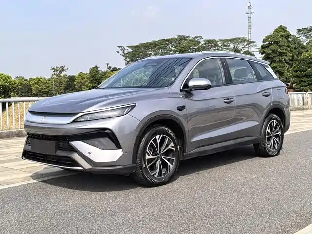 BYD Song Pro New Energy 2025 — фото 1