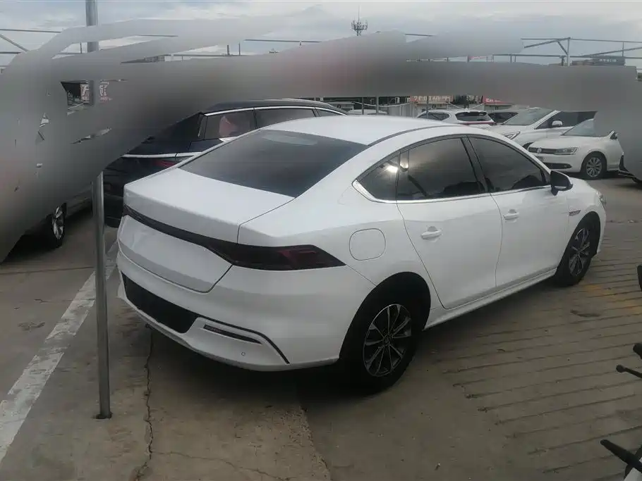BYD Qin PLUS 2024 — фото 3