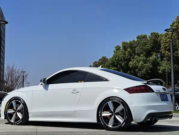 Audi TTS 2013