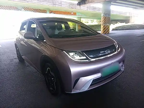 BYD Dolphin 2022