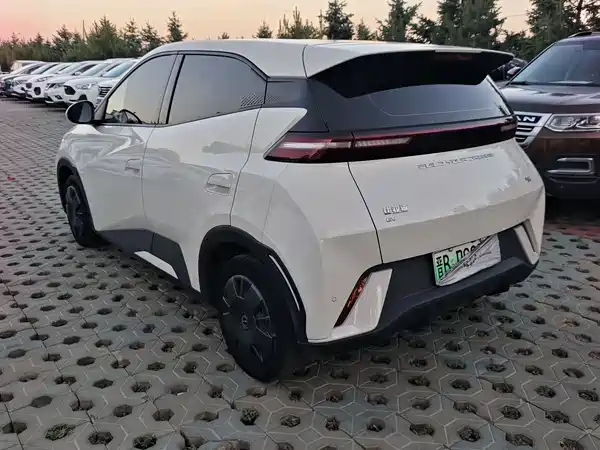 BYD Seagull 2023