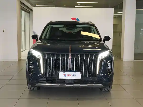 Hongqi HS7 2023