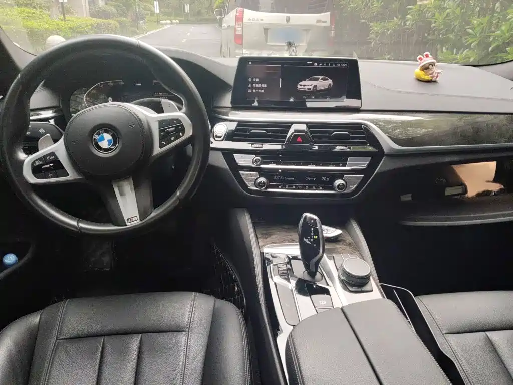 BMW 5 Series 2020 — фото 13