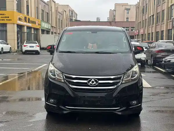 Maxus G10 2019