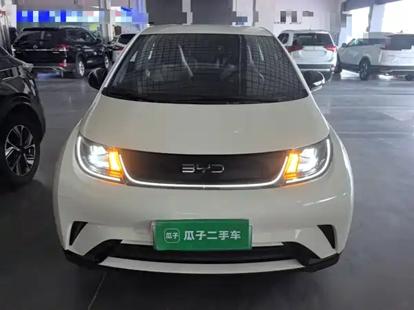 BYD Dolphin 2024